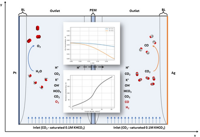 A Comprehensive COMSOL Modeling for the Solar-Driven CO2 Electroreduction ...