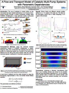 A Flow and Transport Model of Catalytic Multi-Pump Systems with Parametric ...