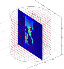 Numerical Simulation of the Functional Electromagnetic Stimulation of the ...