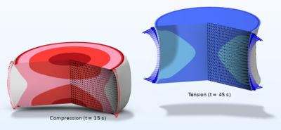 Large-Strain Poroviscoelastic Model of Brain Tissue