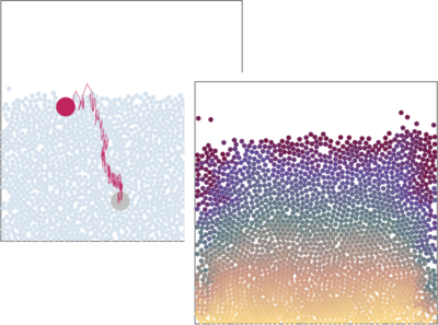 Granular Convection and the Brazil Nut Effect