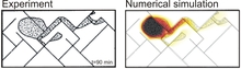 Verification and Validation of Flow and Transport Processes in Fractured ...