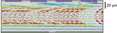 Optimizing Dielectrophoresis by Inducing Fluid Flow Using Droplet ...