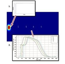 2D Simulation of Cardiac Tissue