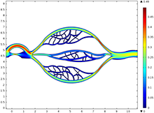 Microvascular Dysfunction in PAD Patients
