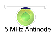 A Lesson in Cartilage Therapy: Do Chondrocytes Utilize Mechanical Energy ...