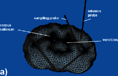 Numerical Simulation of Electrokinetic Convection-Enhanced Delivery of ...