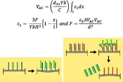 A Novel Plug n Play MEMS-Based DNA Microarray