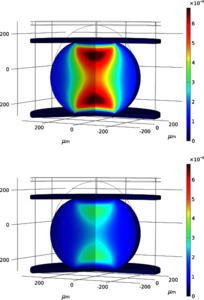 Simulating Organogenesis in COMSOL Multiphysics®: Tissue Mechanics during ...
