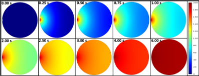 Simulation of Molecular Transport of an Electroporated Cell using COMSOL ...