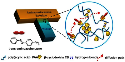 利用多物理场仿真研究水凝胶与超分子作用