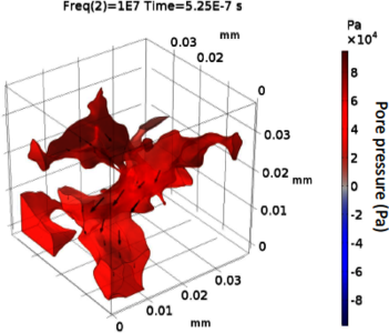 Numerical Simulation of Coupled Fluid-Solid Interaction in Digital Rock ...