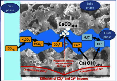 A Model of Concrete Carbonation Using COMSOL Multiphysics®
