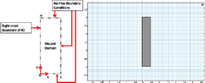 Computational Modeling of Diffusion-Based Transport from Differing Designs ...