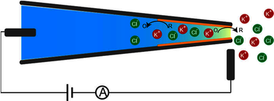 A Multi-physics Study of the Ion Transport in Wireless Bipolar Nanopore ...