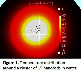 Computational Modeling of Nanoparticle Heating for Treatment Planning of ...