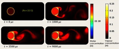 Morphological Evolution of a Single Droplet Drying at High Temperatures