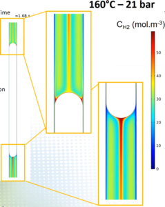 Strong multiphysics coupling towards simulation of edible oil hydrogenation ...