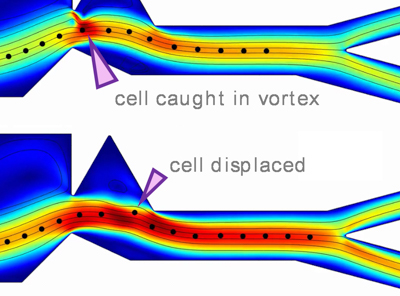 Simulation Advances the Design of a Microfluidic Therapeutic Cell Sorter
